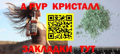 сатива Можга