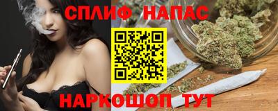 сатива Можга