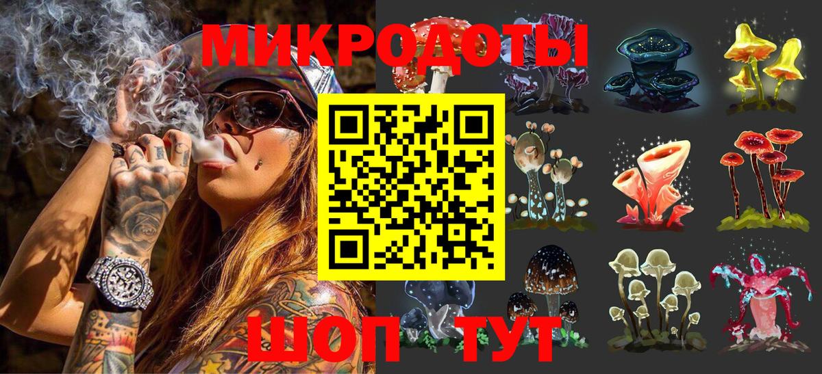 Богородск  Галлюциногенные грибы GOLDEN TEACHER  купить наркотики цена  Вход с VPN  Псилоцибиновые грибы мухоморы 